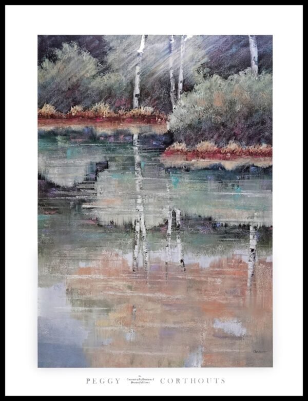 EDV CPP359 Coventry Rellections I